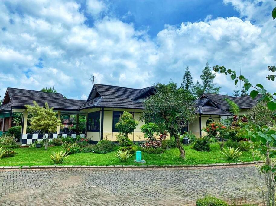 Designer Villa Osaka 펀칵 외부 사진