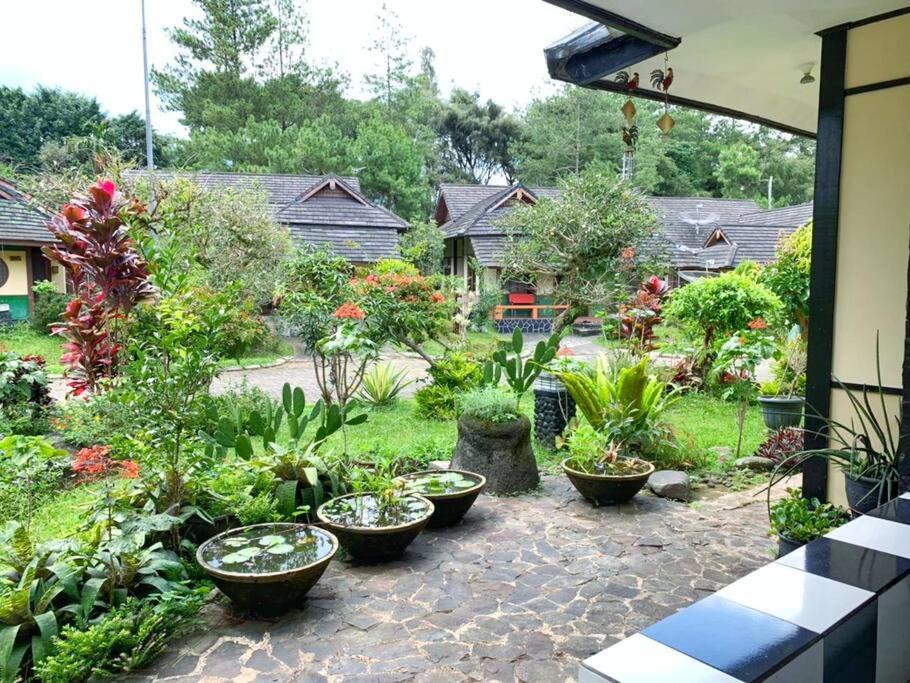 Designer Villa Osaka 펀칵 외부 사진